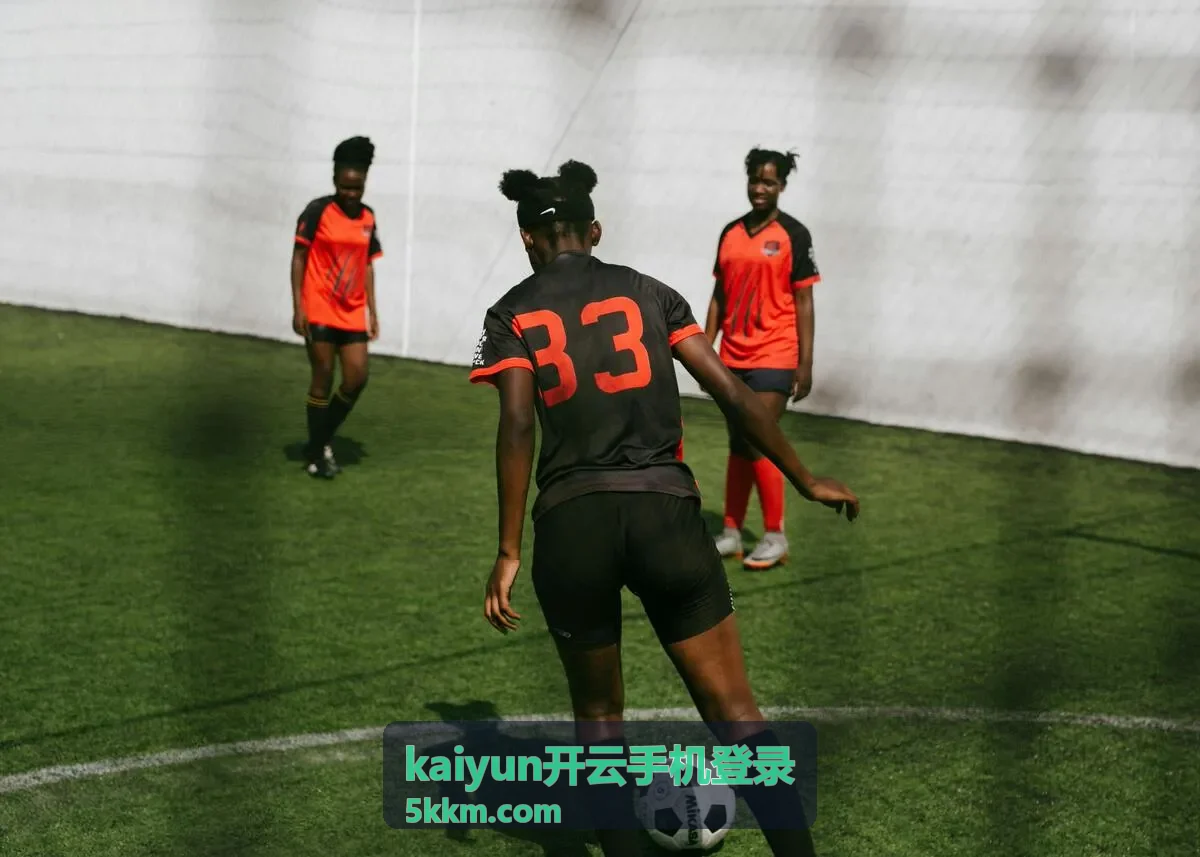 kaiyun开云手机登录 功能与版本页面的手机端界面示意