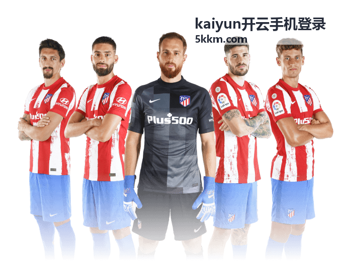 kaiyun开云手机登录 版本功能更新示意图