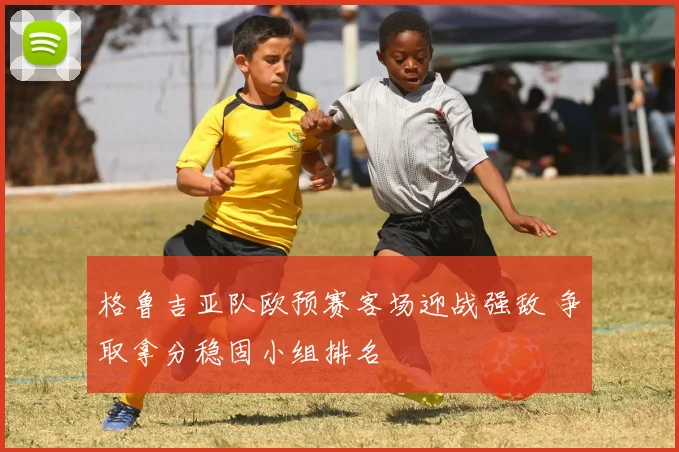 格鲁吉亚队欧预赛客场迎战强敌 争取拿分稳固小组排名