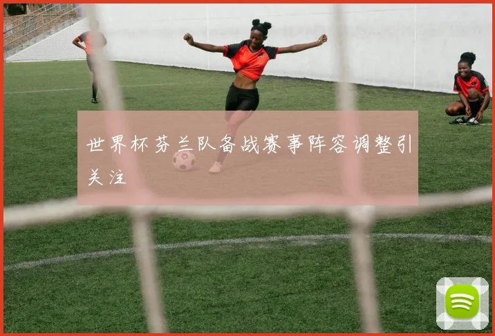世界杯芬兰队备战赛事阵容调整引关注