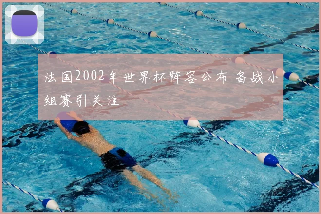 法国2002年世界杯阵容公布 备战小组赛引关注
